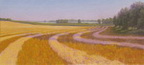 The Wheat Field, Study