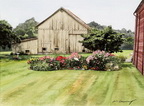Amish Garden