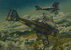 Edward Mannock Bi-Plane 
