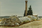 Temple of the Olympian Zeus, Corinthian Column