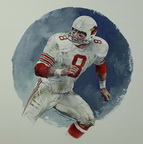 Larry Wilson, St. Louis Cardinals, Safety 