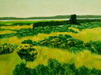 Nantucket Landscape