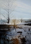 Dunes In Winter