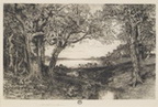 View Of East Hampton Under the Oaks