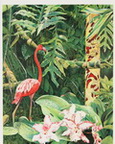 A Flamingo in the Garden of the Empress