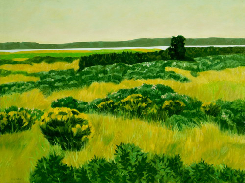 Nantucket Landscape