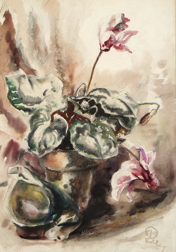 Study of Cyclamen