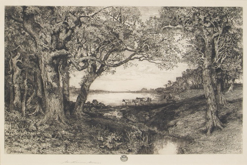 View Of East Hampton Under the Oaks